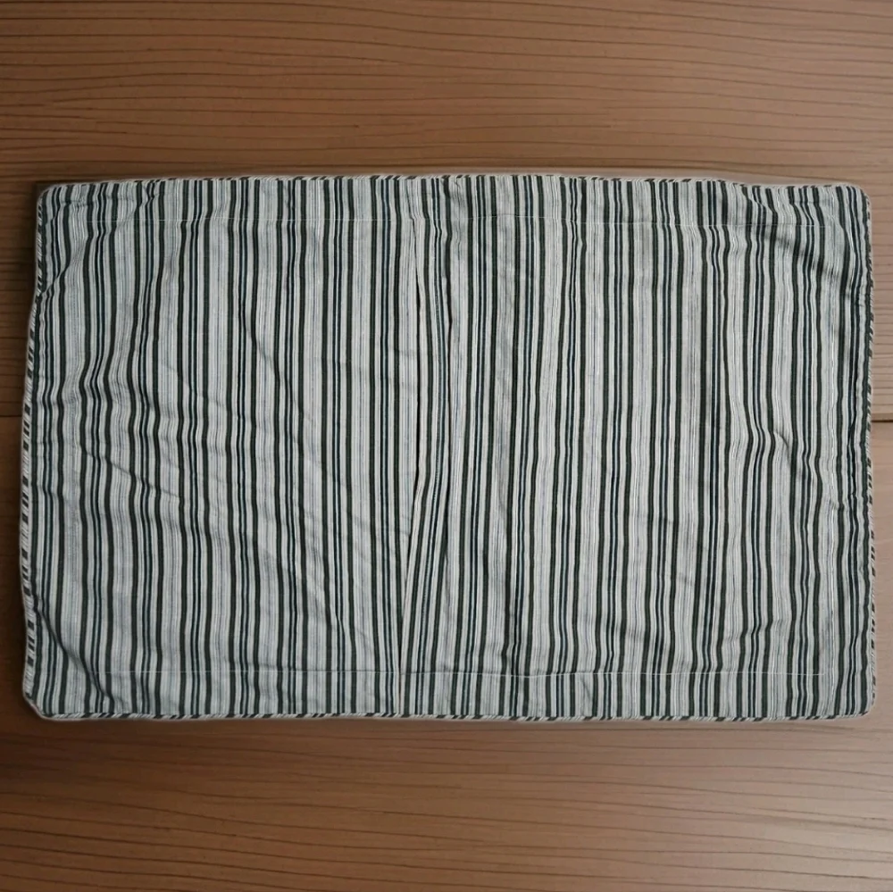 Waverly Williamsburg Garden Images III king floral stripe sham NWOT